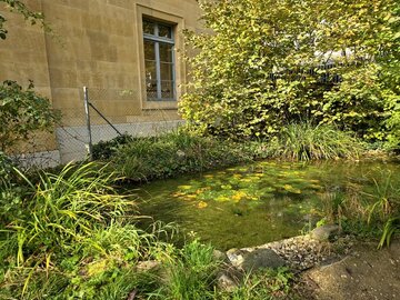 Etang dans la cour des Terreaux.