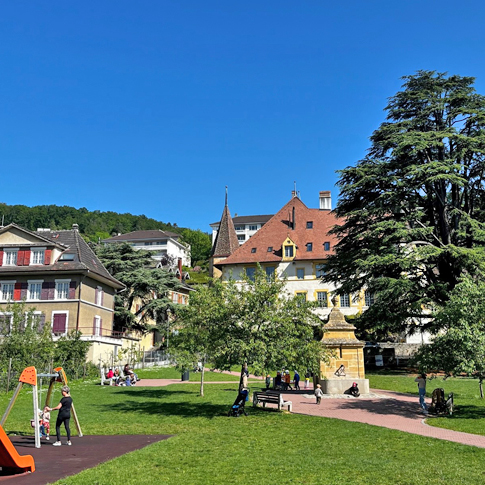 Le puits et le grand cèdre, au coeur du parc